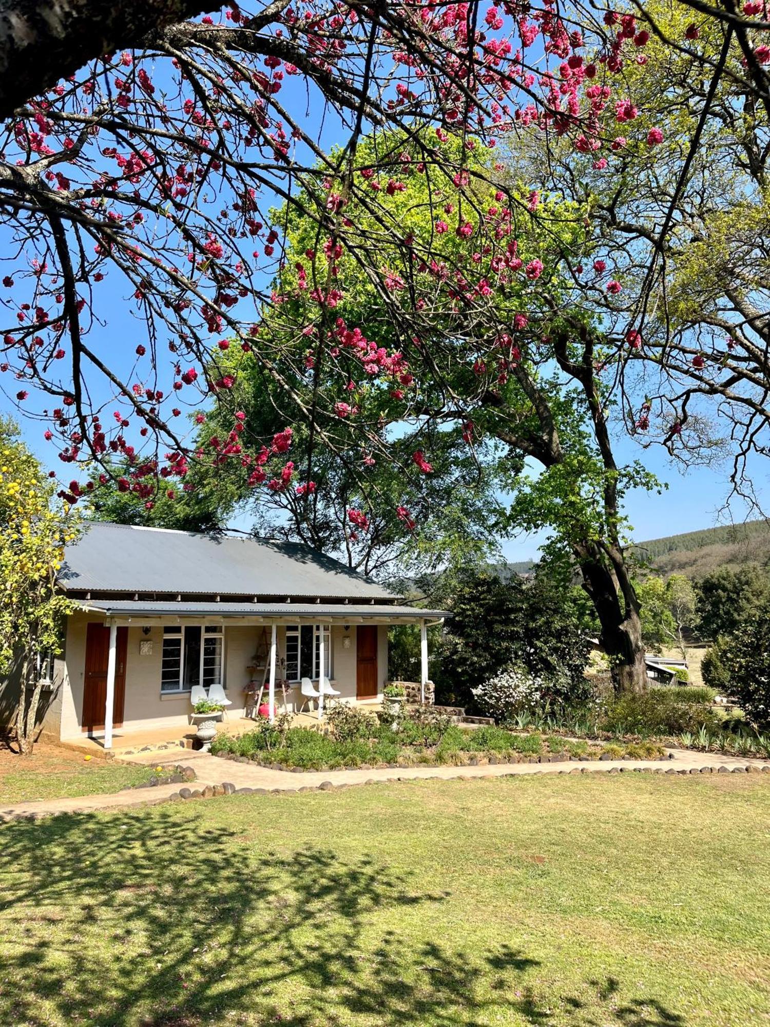 Gowan Valley Guest Farm Bed & Breakfast Balgowan Exterior photo